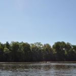 DSC_0033.jpg